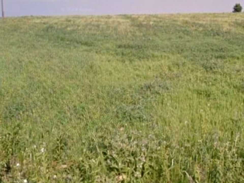 1864710697432074