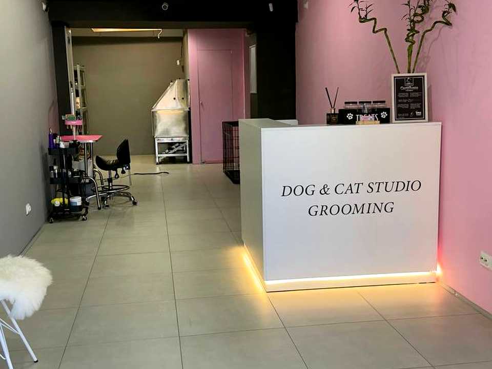 1864820062418623