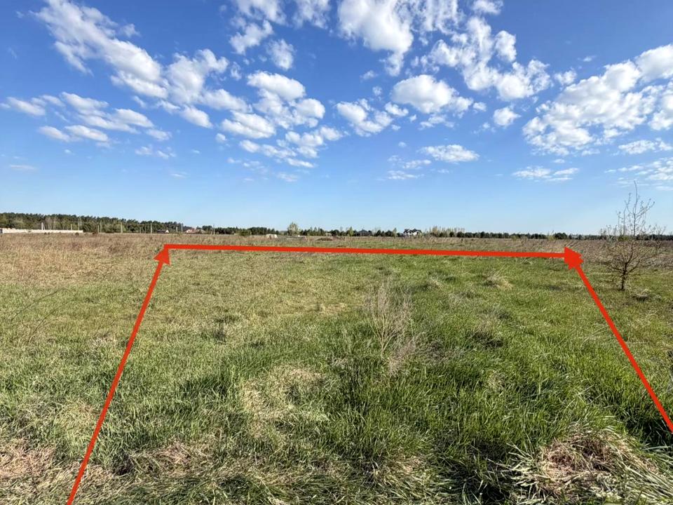 1865061933467009.jpg