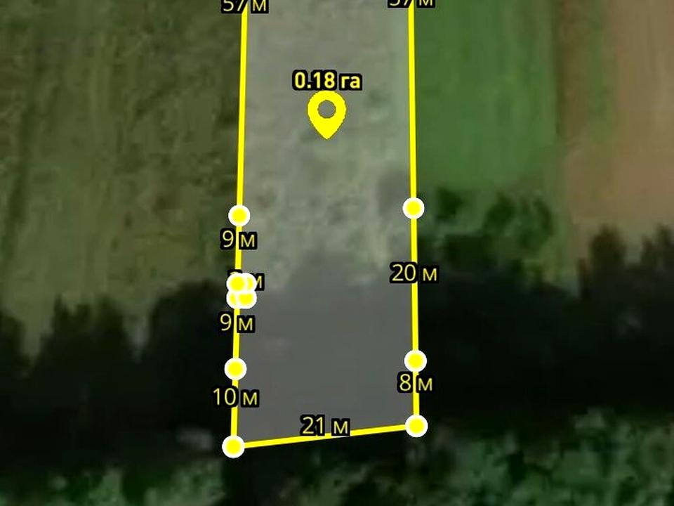 1865062411008497.jpg