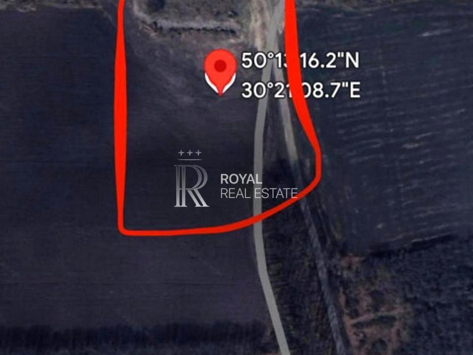 1865259549412672