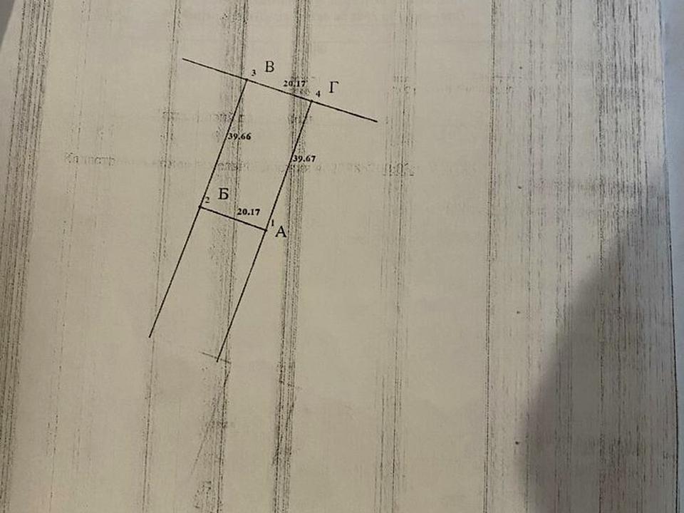 1865546070217910.jpg