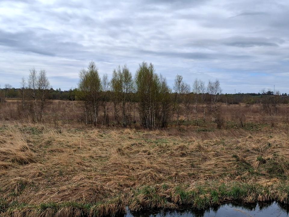 1865621761999307