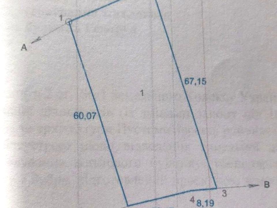 1865808502228491.jpg