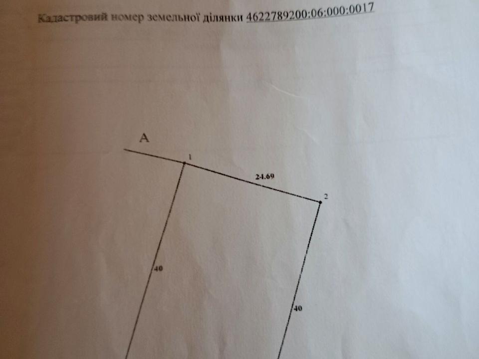 1865808619481380.jpg