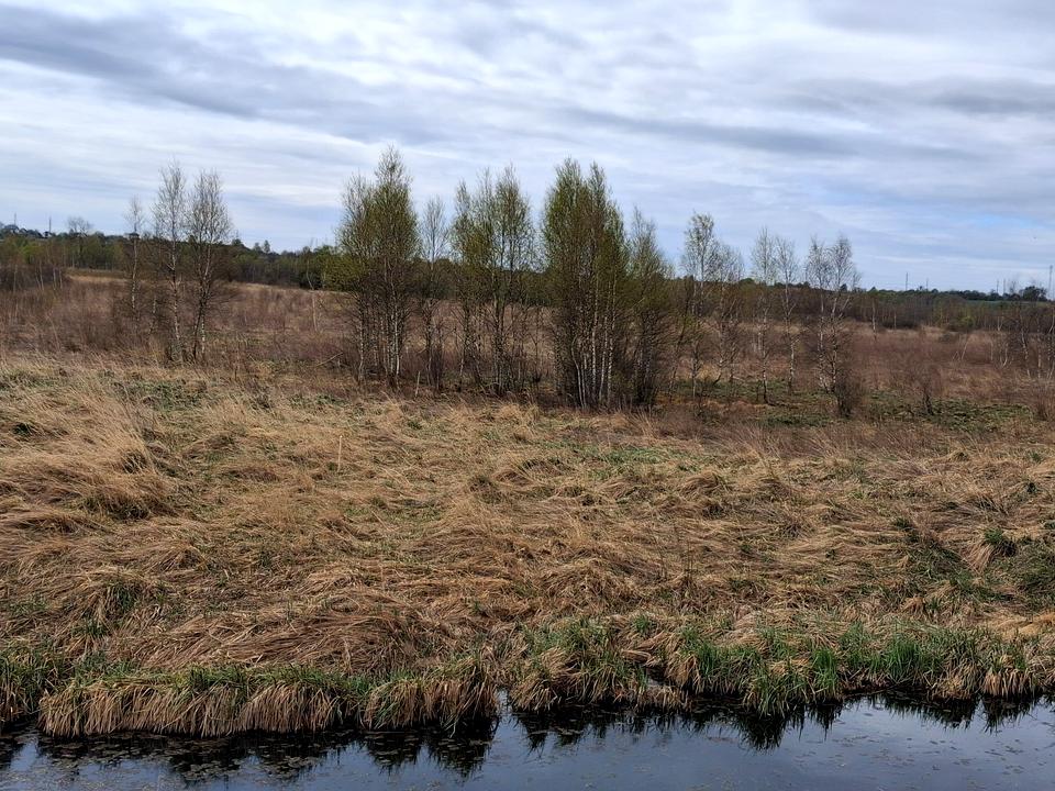 1865809029590444