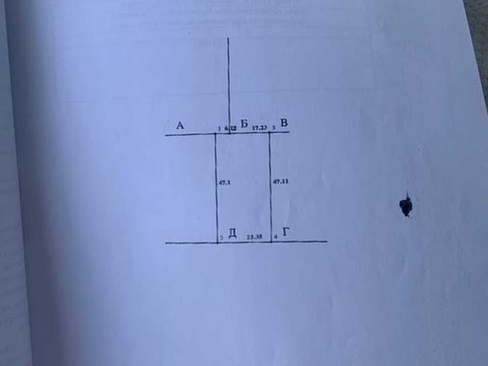 1865893205329100.jpg