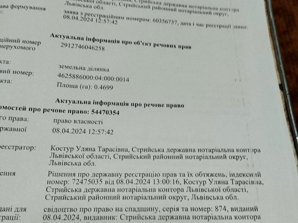 1865896390567207.jpg