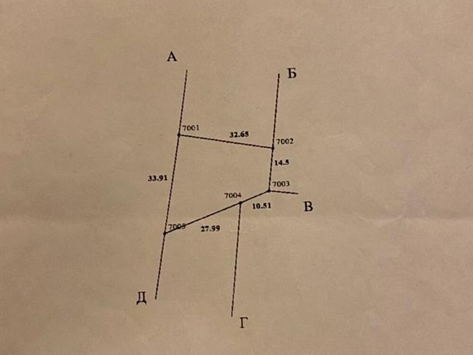1866148236756702.jpg