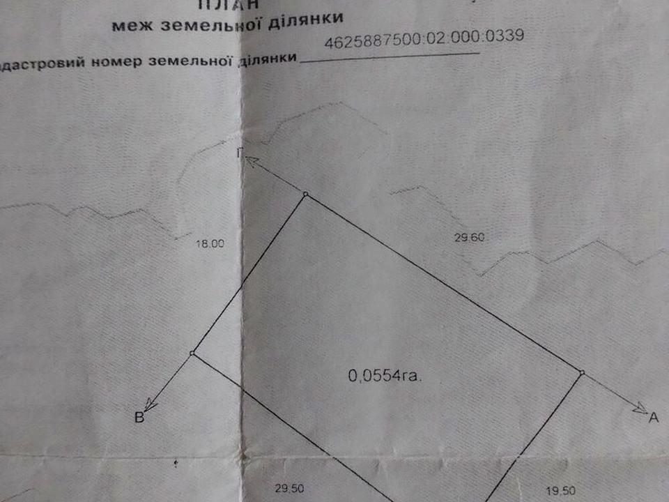 1866165795215814.jpg