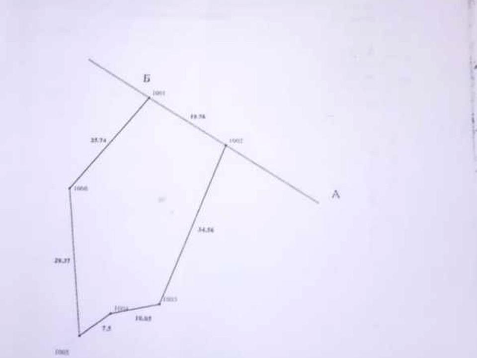 1866261161052524.jpg