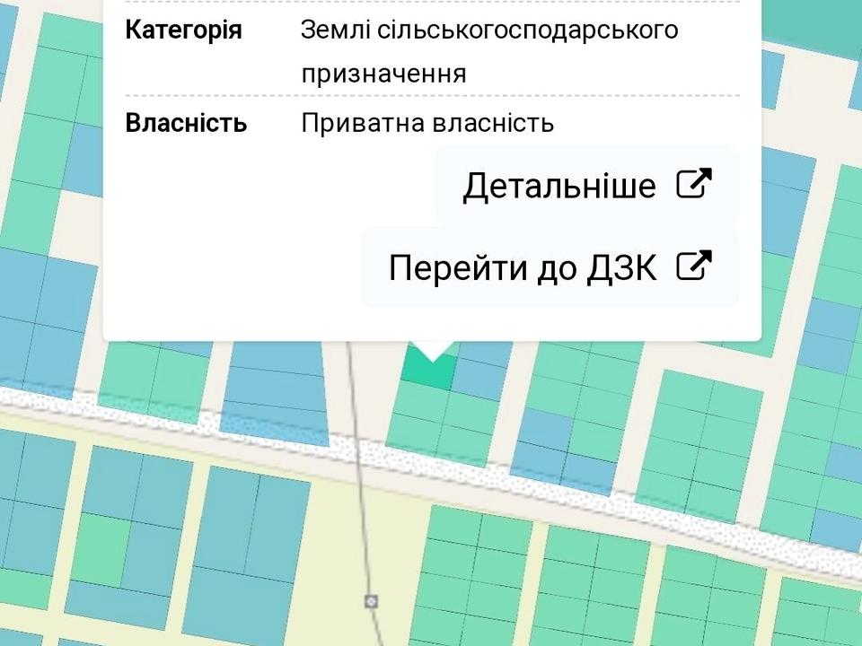 1866332798554131.jpg