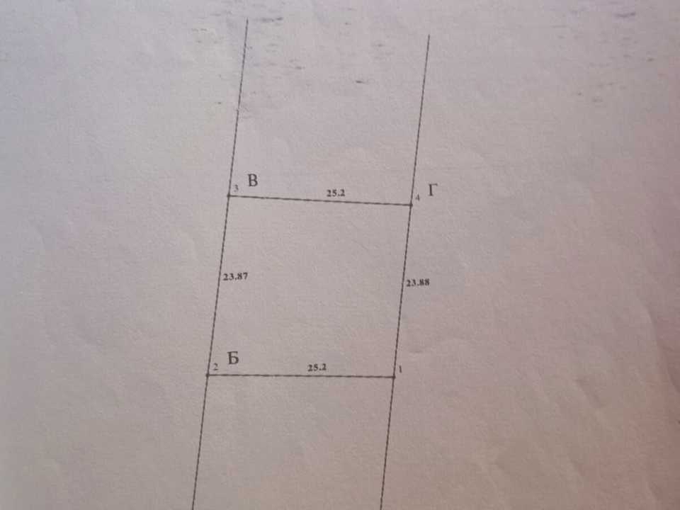 1866422401293508.jpg