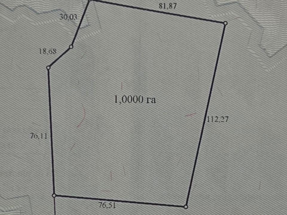 1866612262465017