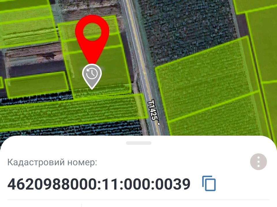 1866626677943296.jpg