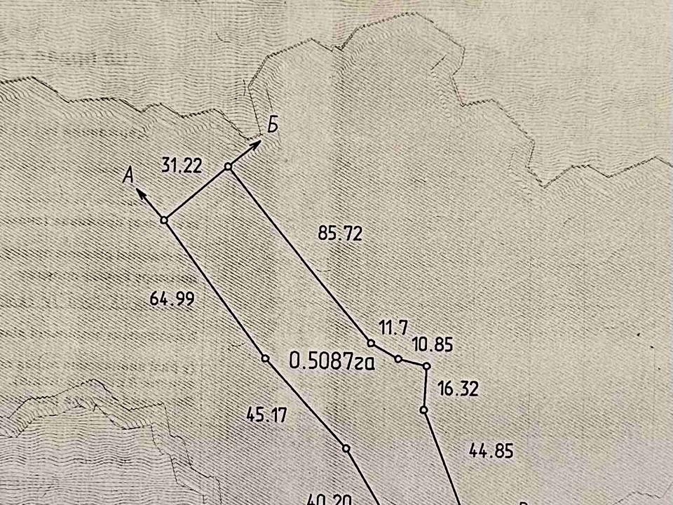1866906640438733.jpg