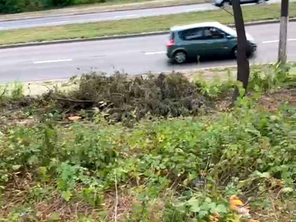 1867173307312966