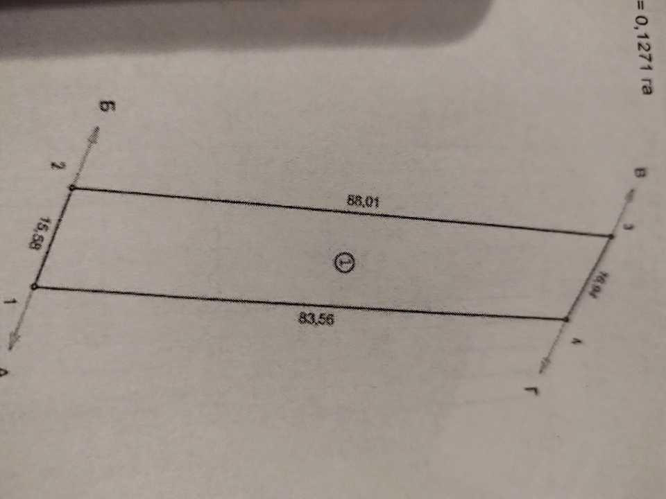 1867186731816330.jpg