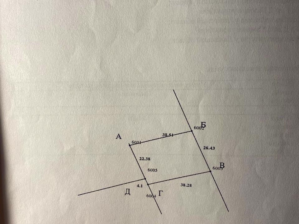 1867695703585199.jpg