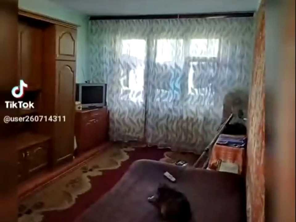 1867697459655420