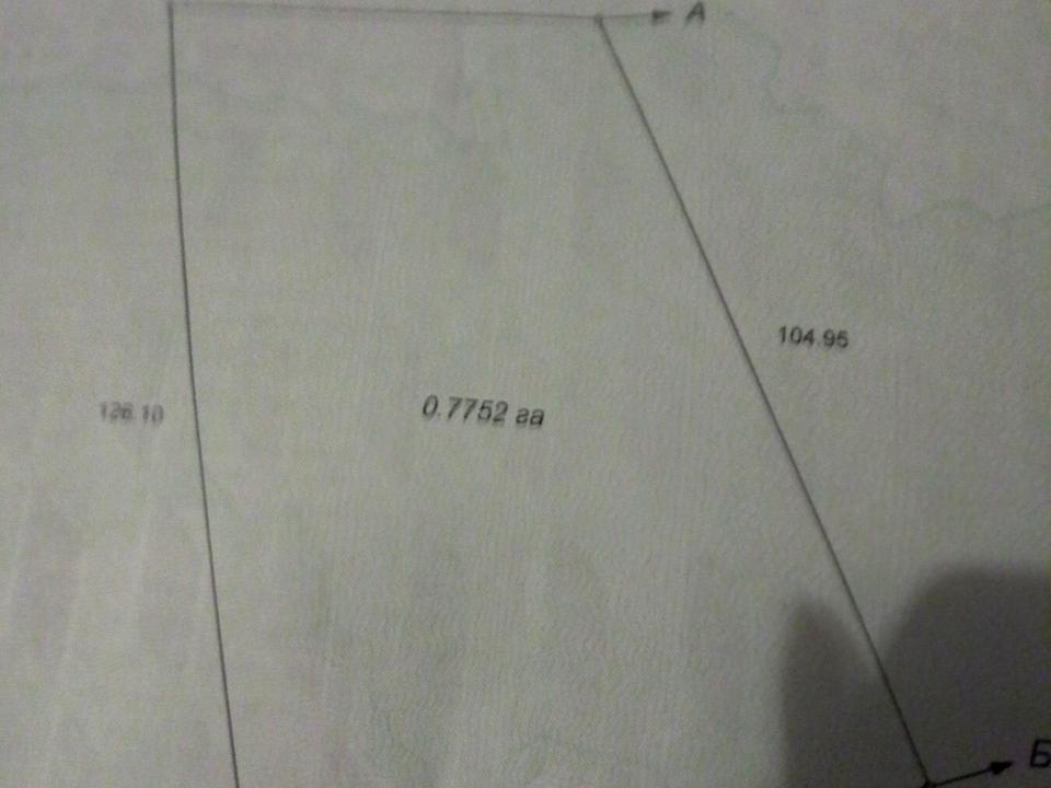 1867801093315625.jpg