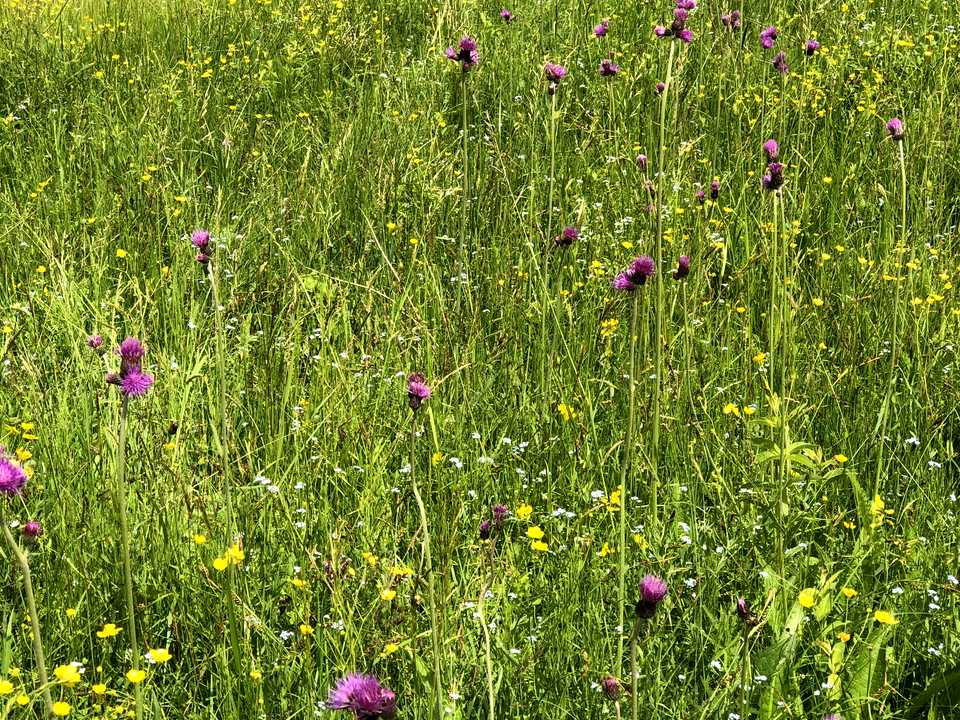1867909723075126
