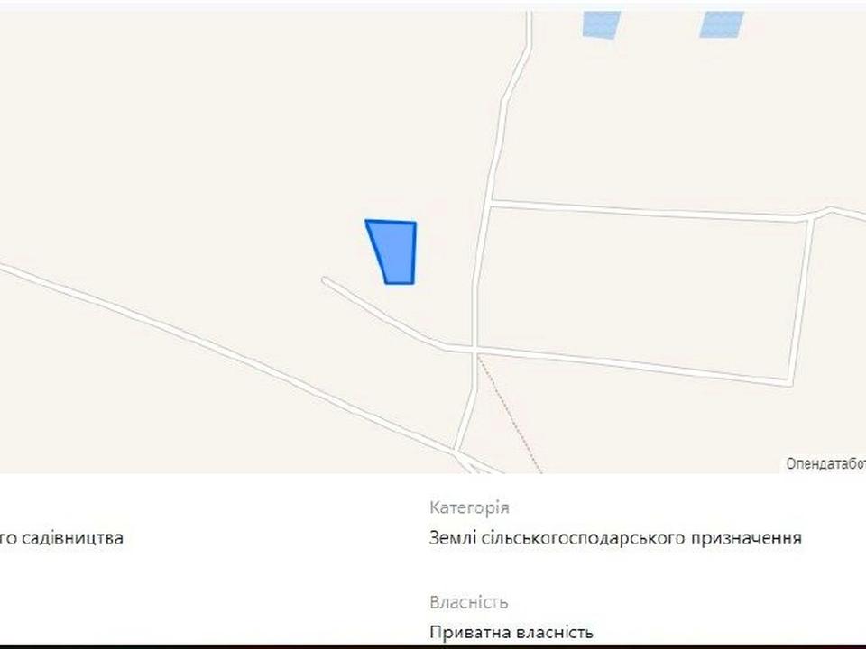1868050864963479.jpg