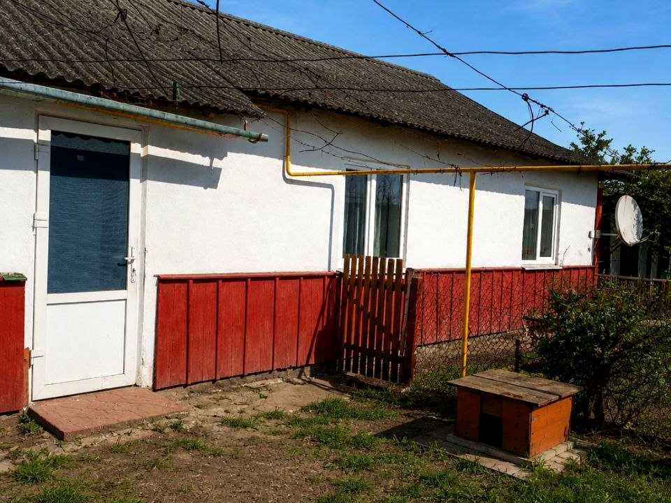 1868058459153955
