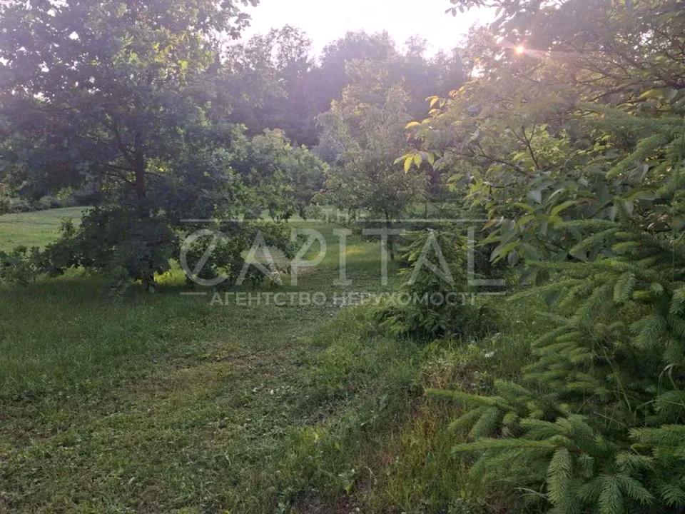 1868140779317152