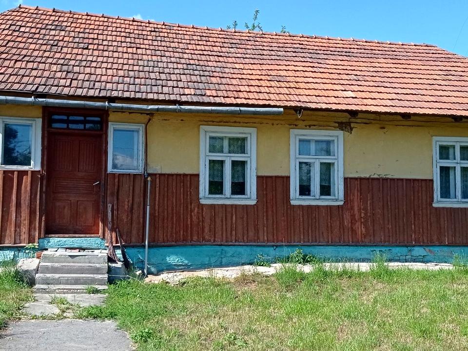 1868160317014329.jpg