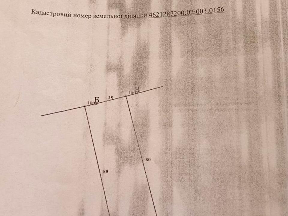 1868160439506808.jpg