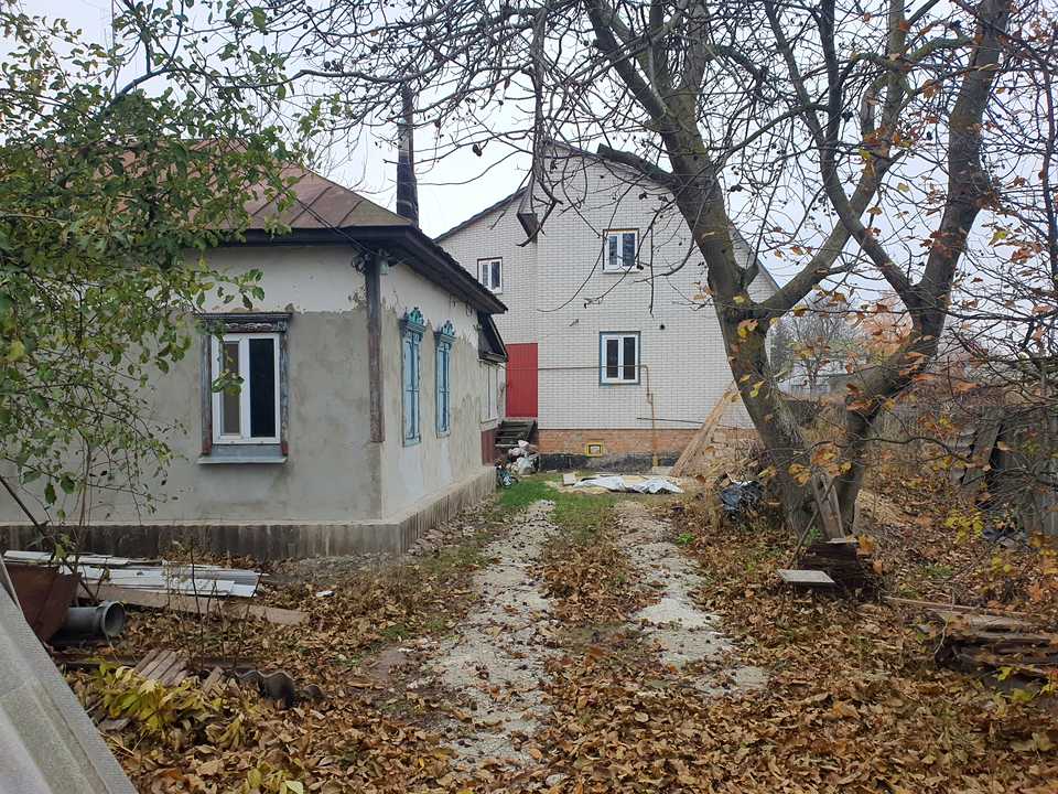 1868169729563266