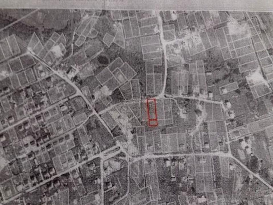 1868372382568242.jpg
