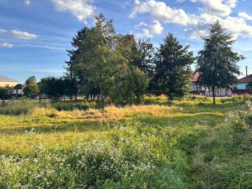1868783038191266