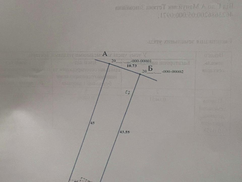 1868911465879629.jpg