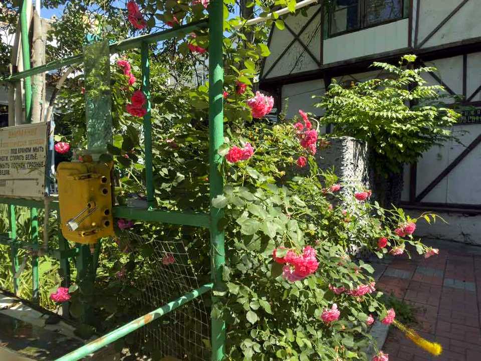 1868989598520840