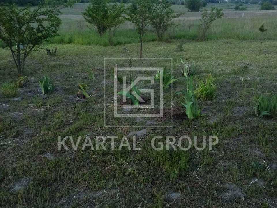 1869070769335048