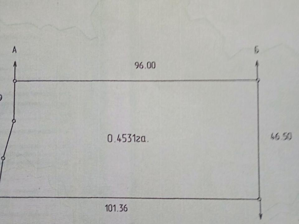 1869075212257564.jpg