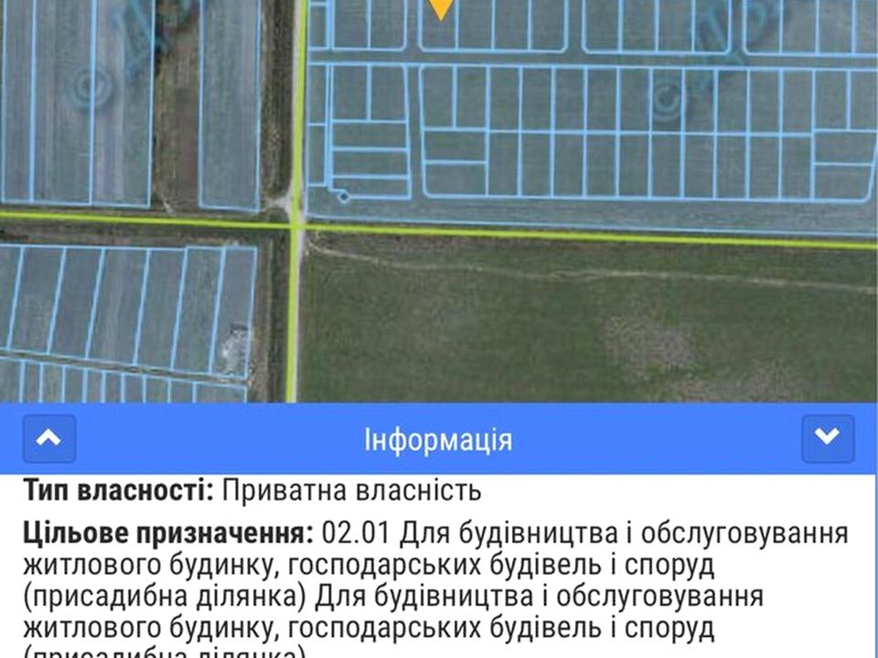 1869077585369638.jpg