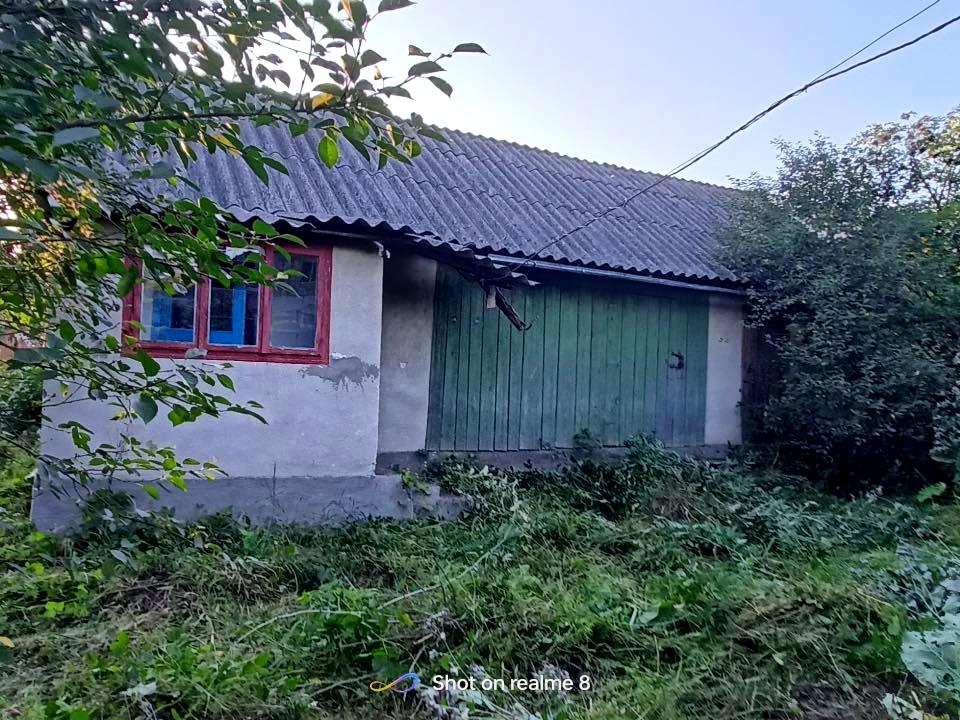 1869246162728111