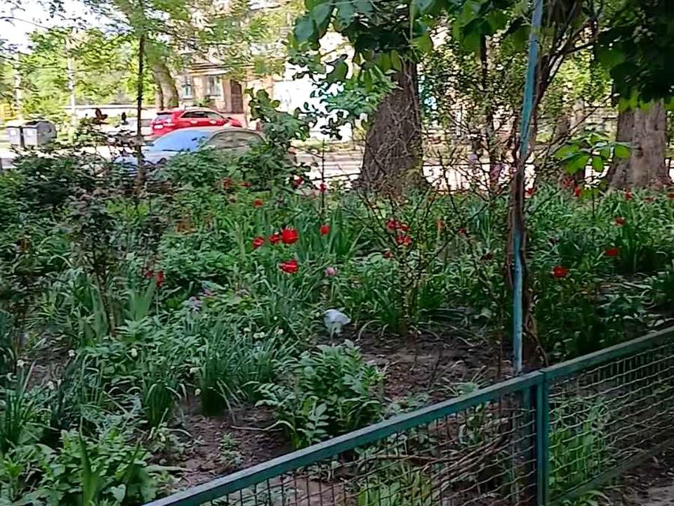 1869435431015284