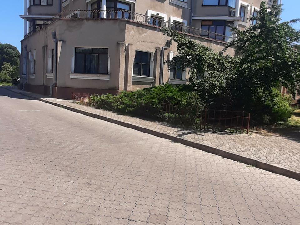 1869516348330602