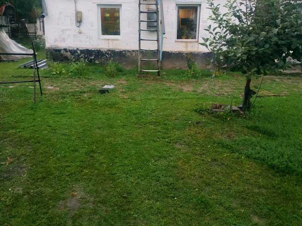 1869523283574181