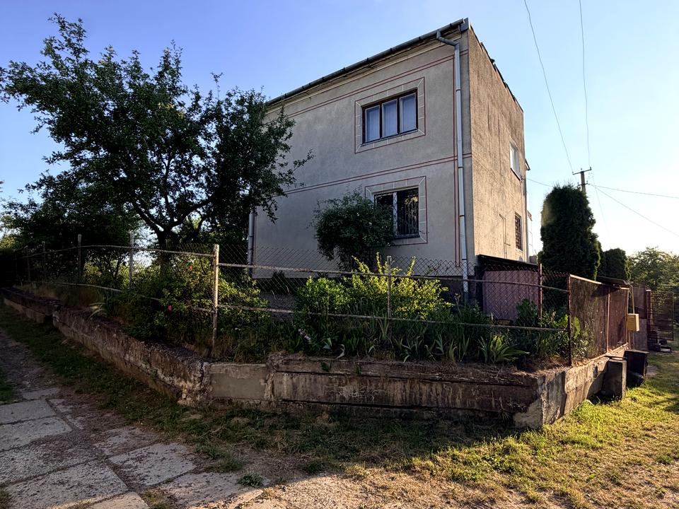 1869544617329452