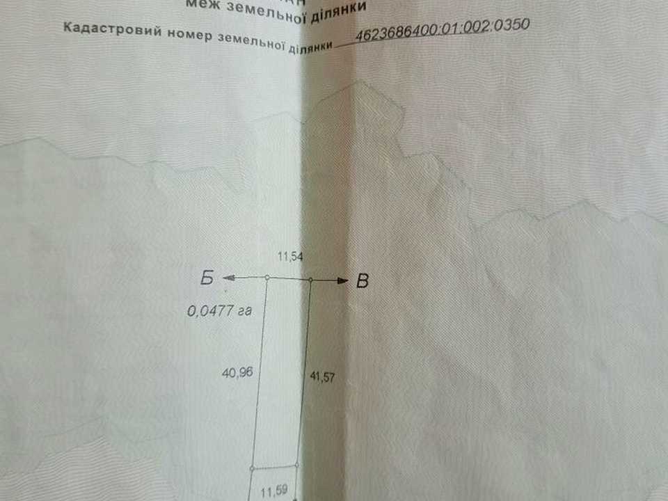 1869612221239334.jpg