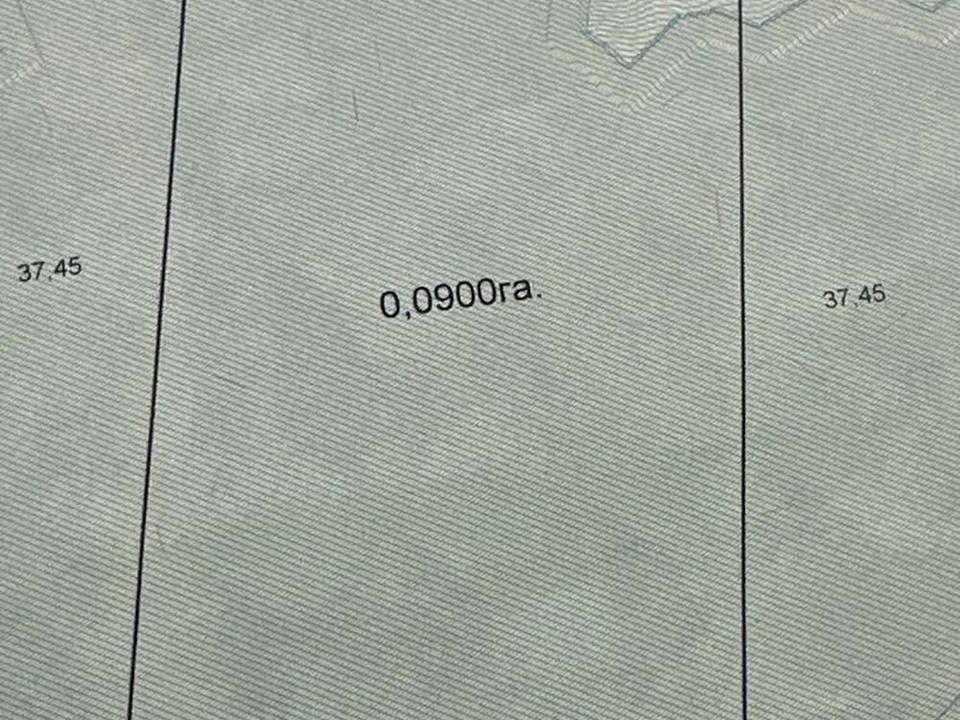 1869688303601554.jpg