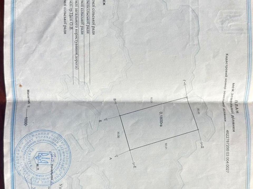 1869711063065637.jpg