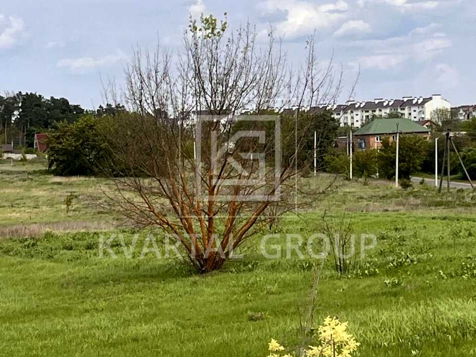 1869778346431466