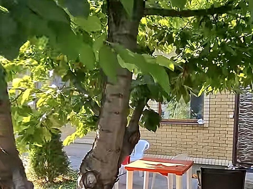 1869811530493280
