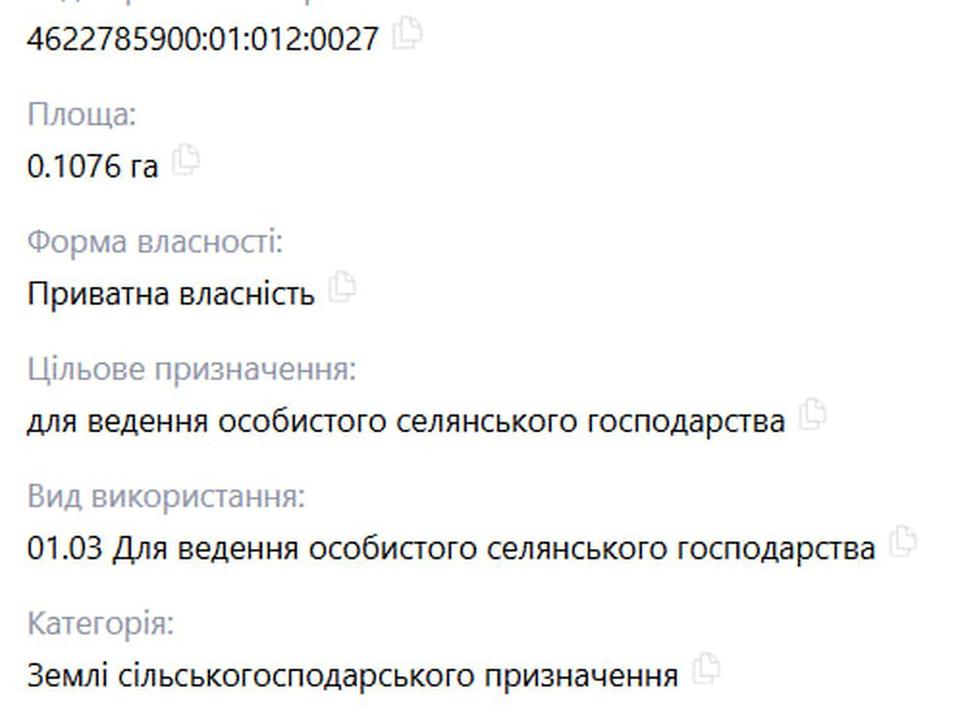 1870047536805040.jpg
